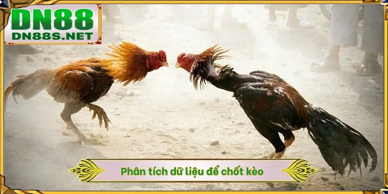 Phân tích dữ liệu để chốt kèo