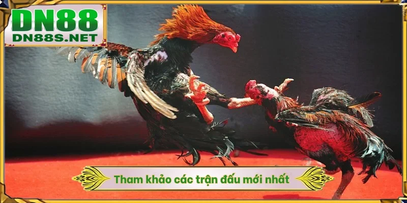 Tham khảo các trận đấu mới nhất